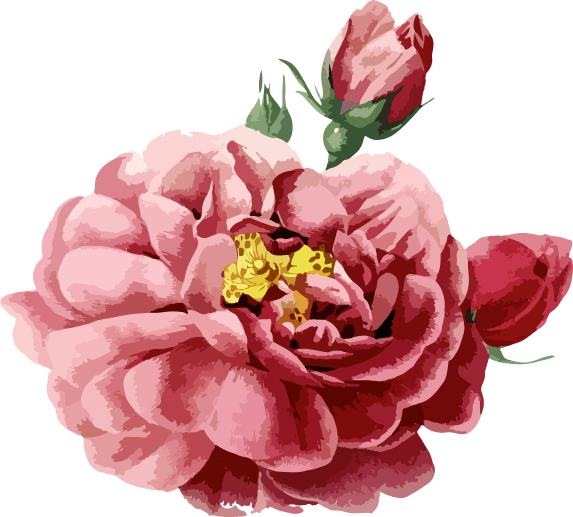 Cá Hồi Sam Sip - 33 Mai Đắc Bân tp. Sơn La