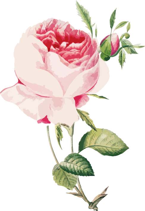 Cá Hồi Sam Sip - 33 Mai Đắc Bân tp. Sơn La