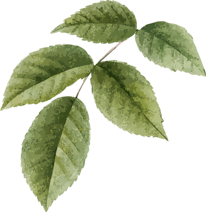 Cá Hồi Sam Sip - 33 Mai Đắc Bân tp. Sơn La