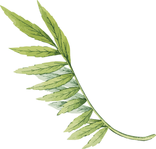 Cá Hồi Sam Sip - 33 Mai Đắc Bân tp. Sơn La